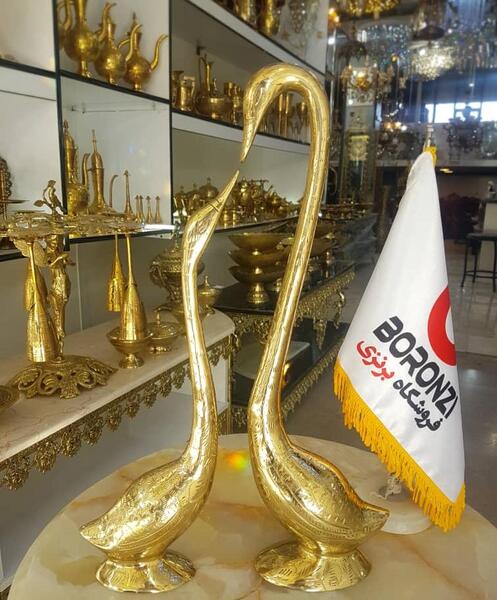 عکس قو برنزی
