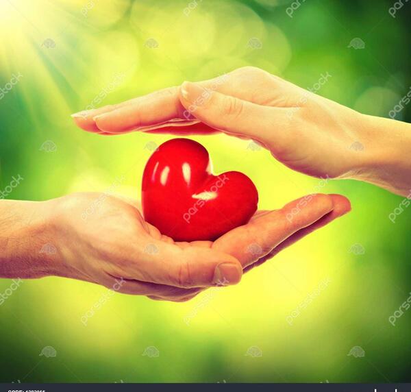 عکس قلب طبیعت