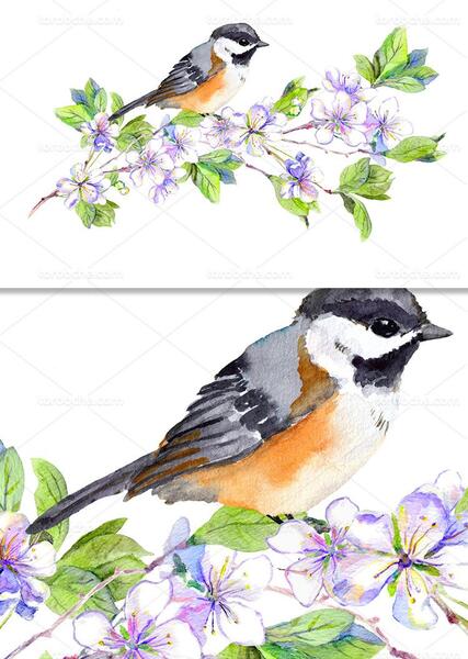 عکس نقاشی آبرنگ