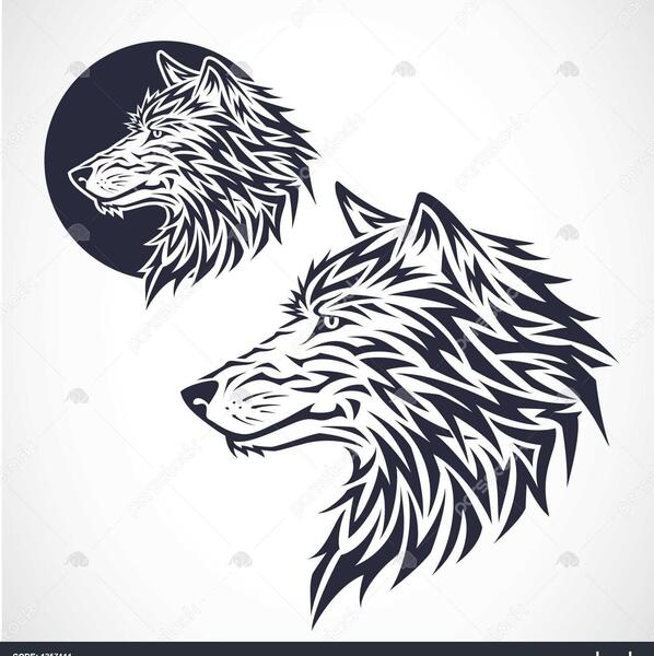 عکس گرگ لایه باز