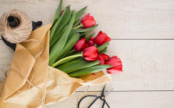 عکس تصویر پس زمینه زیبا