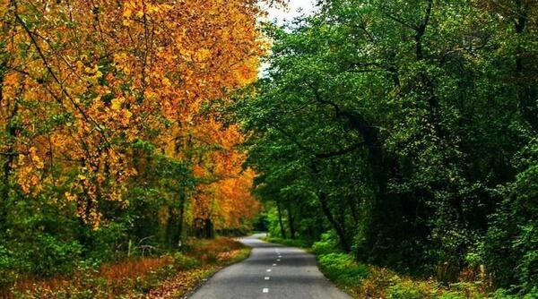 عکس جاهای دیدنی گیسوم