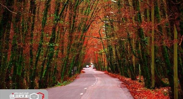عکس جاهای دیدنی گیسوم