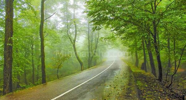 عکس جاهای دیدنی گیسوم