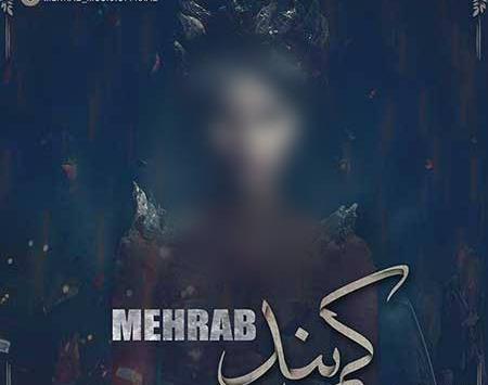 عکس مهراب با طرفداراش