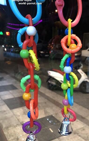 عکس طوطی اسباب بازی