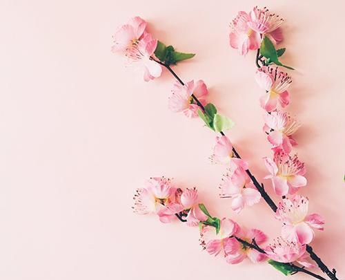 عکس بهاری بک گراند