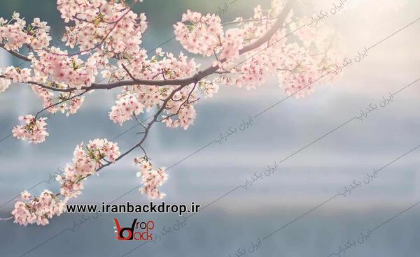 عکس بهاری بک گراند
