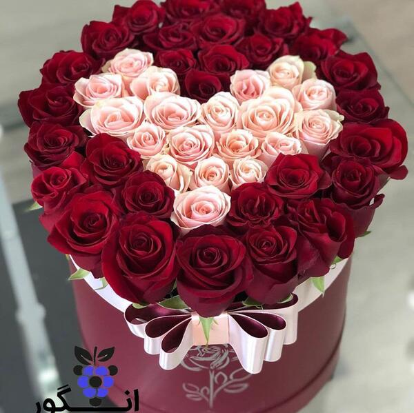 عکس قلب گل رز
