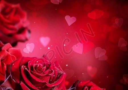 عکس قلب گل رز