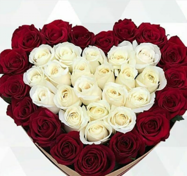عکس قلب گل رز