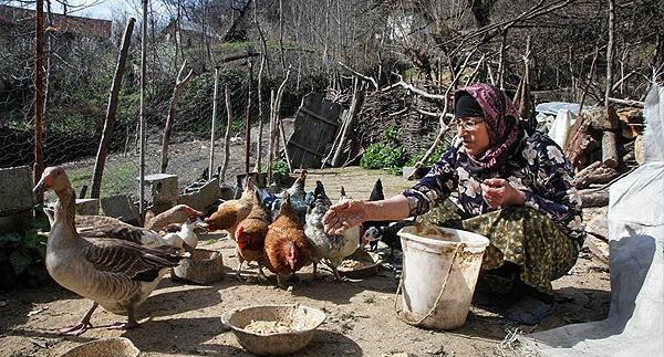 عکس روستای شمال