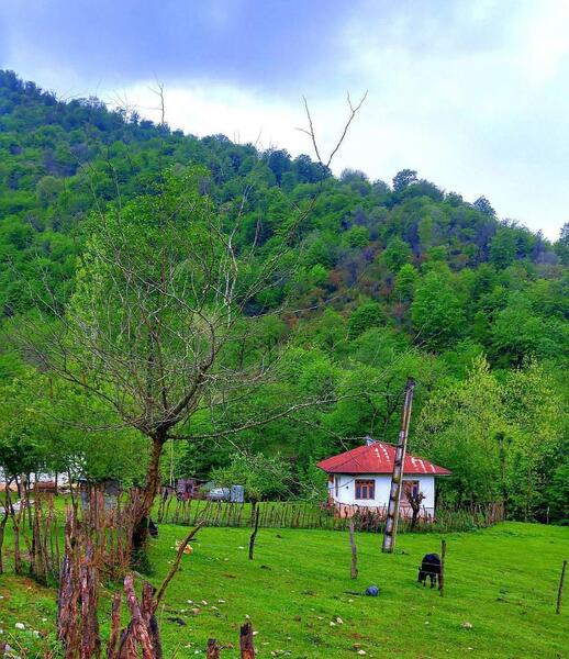 عکس روستای شمال