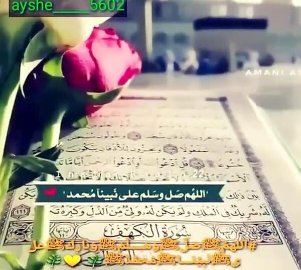 عکس استوری صلوات
