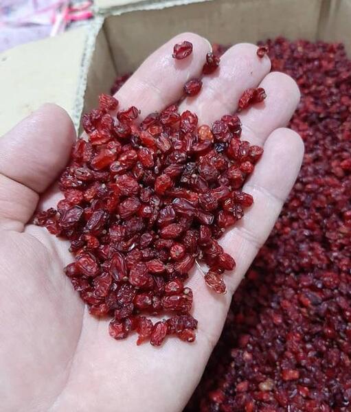 عکس زرشک پفکی