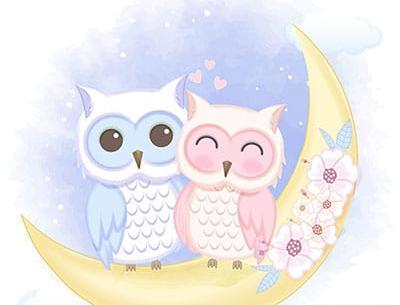 عکس نقاشی جغد