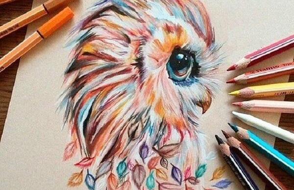 عکس نقاشی جغد