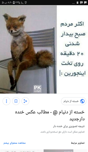 عکس روباه خنده دار