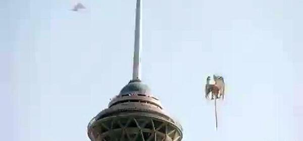 عکس واقعی اژدها