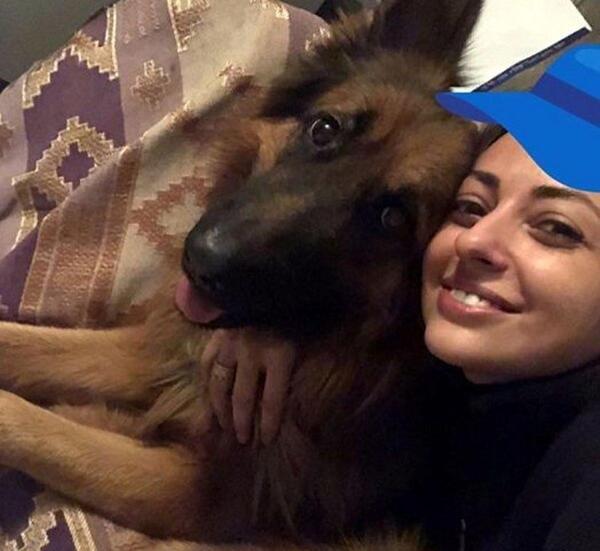 عکس سگ وحشتناک