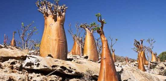 عکس جاهای دیدنی یمن