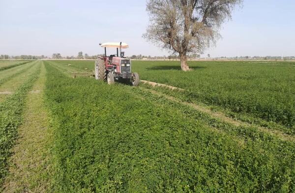 عکس دستگاه یونجه چین