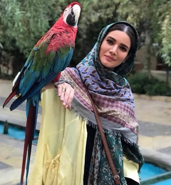 عکس طوطی روی دست