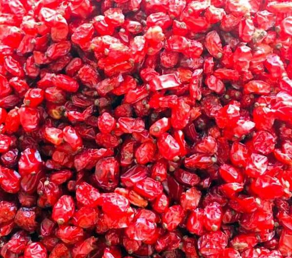 عکس زرشک درجه یک
