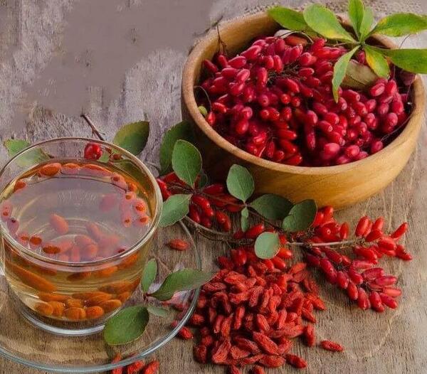 عکس بوته ی زرشک