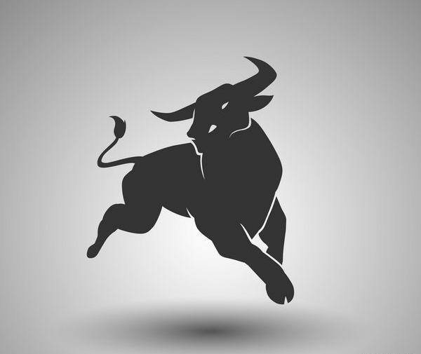 عکس گاو ردبول