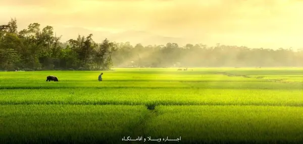 عکس جاهای دیدنی فریدونکنار