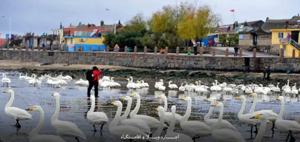 عکس جاهای دیدنی فریدونکنار