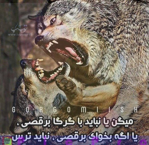 عکس نوشته آدمهای روباه صفت