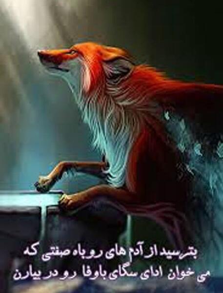 عکس نوشته آدمهای روباه صفت