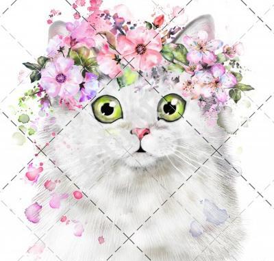 عکس گربه اشرافی
