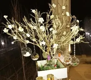 عکس سفره هفت سین حلقه ای