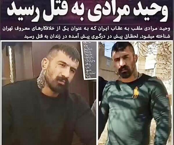 عکس وحید مرادی گنده لات