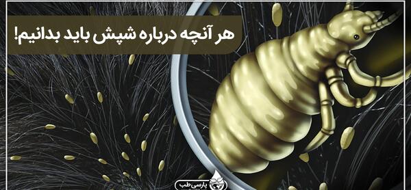 عکس شپش کتاب