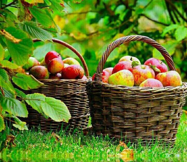 عکس روستا برای پروفایل