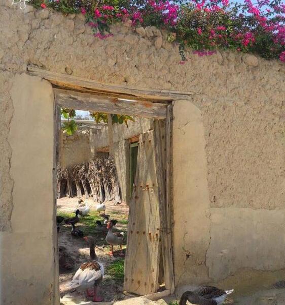 عکس روستا برای پروفایل