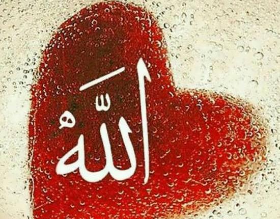 عکس الله کوچک