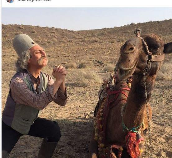 عکس شتر باردار
