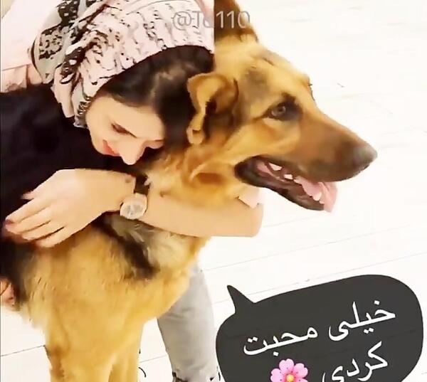 عکس سگ تیدا
