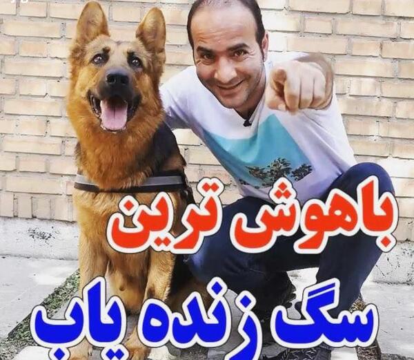 عکس سگ تیدا