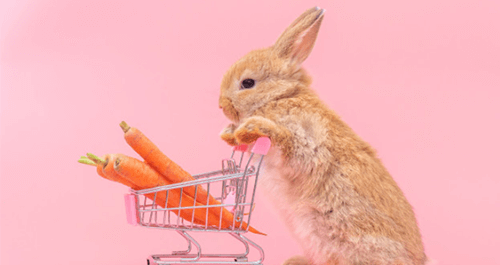 عکس غذاهای خرگوش