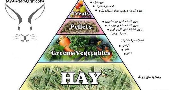 عکس غذاهای خرگوش