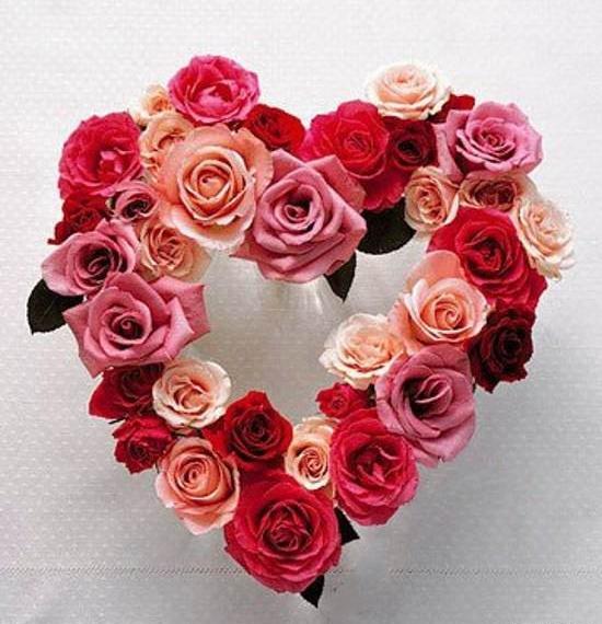 عکس عاشقانه قلب با گل