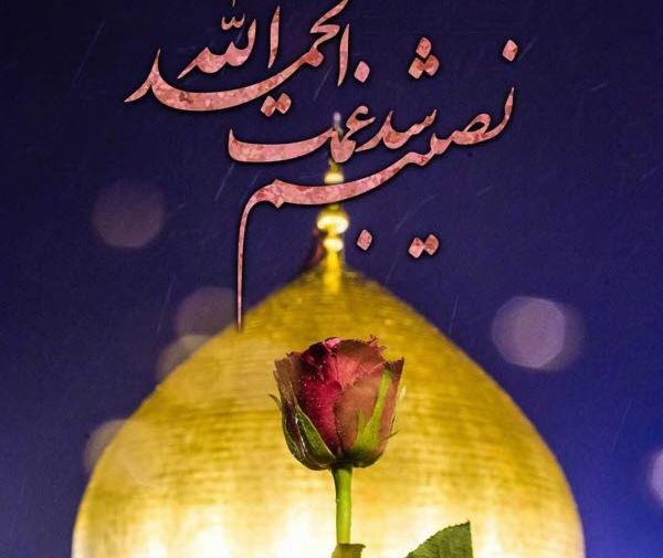 عکس گل محرم