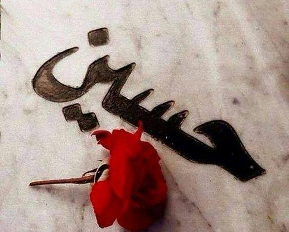 عکس گل محرم