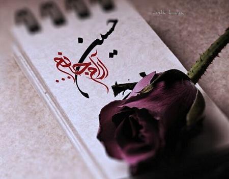 عکس گل محرم